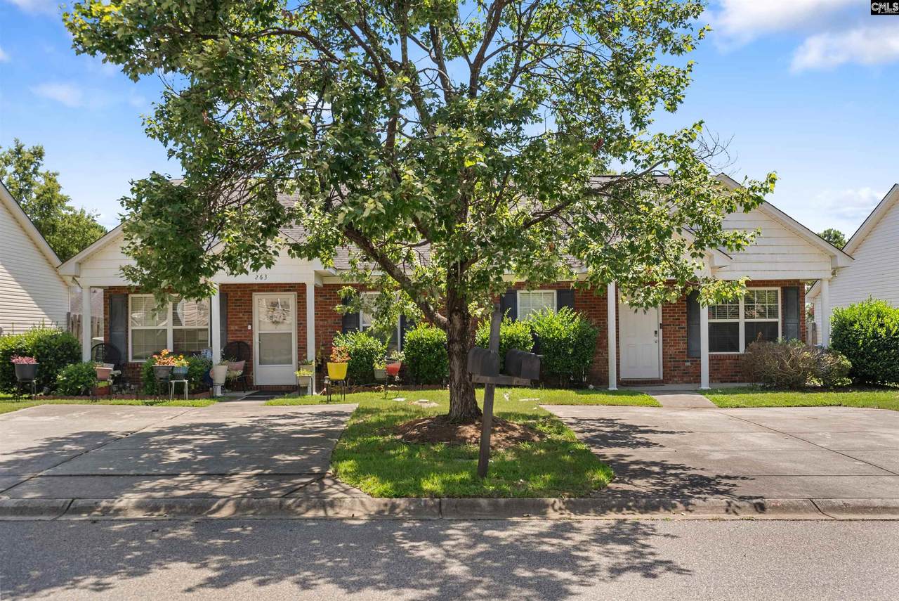 267 Blue Savannah Street - Photo 1