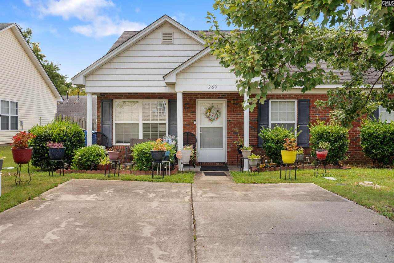 263 Blue Savannah Street - Photo 1