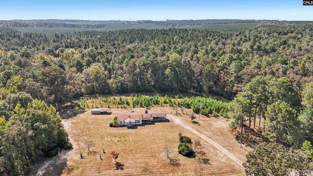 7166 Wagener Road - Photo 1