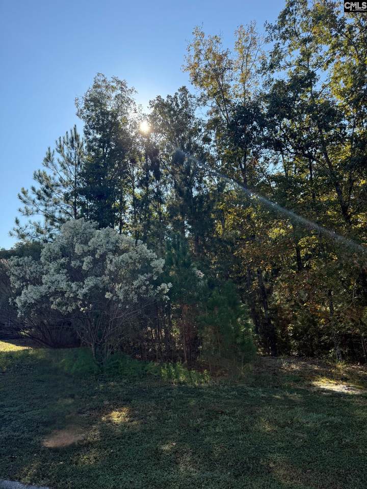 761 Carolina Aster Drive - Photo 1