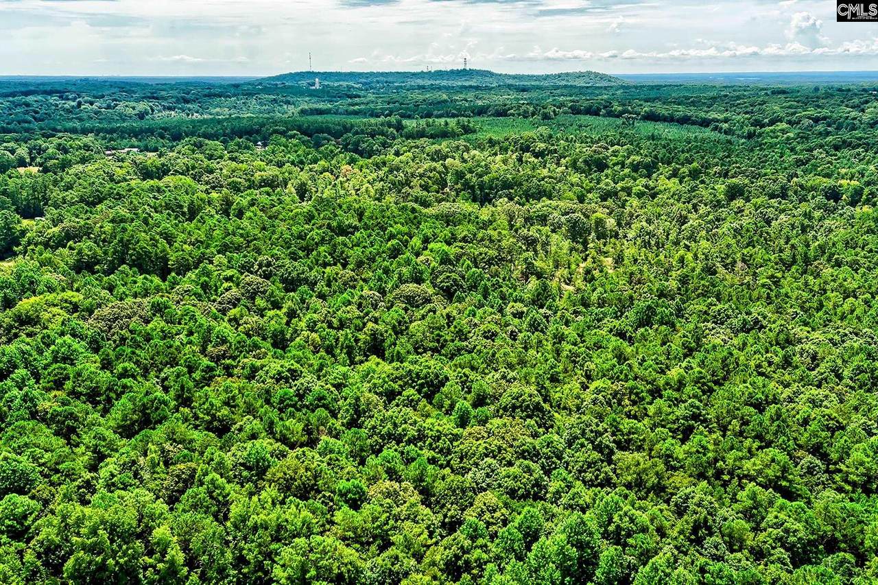 1549 Doctor Bowers Road - Photo 1