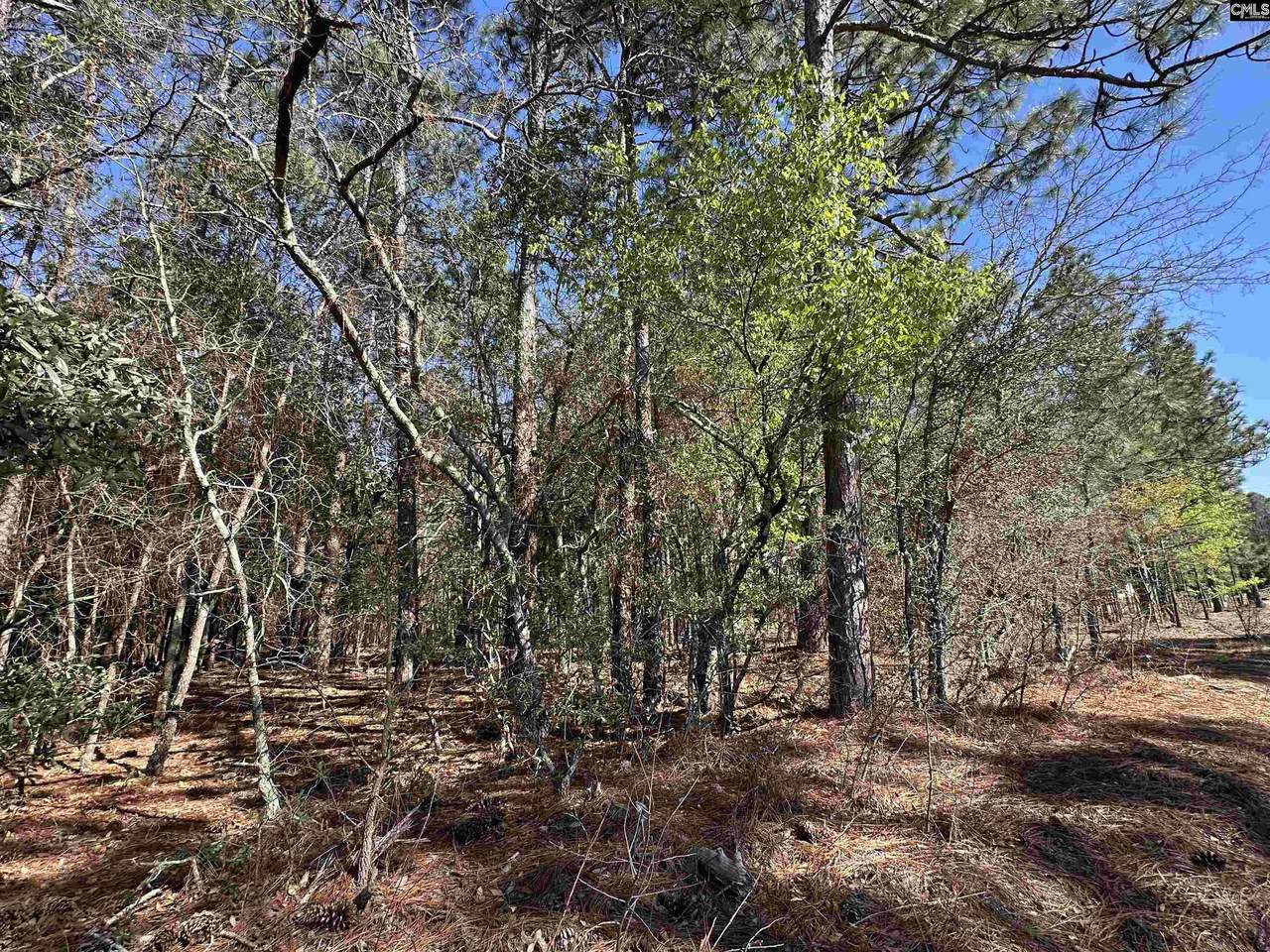 Lot 9 Mimosa Drive - Photo 1