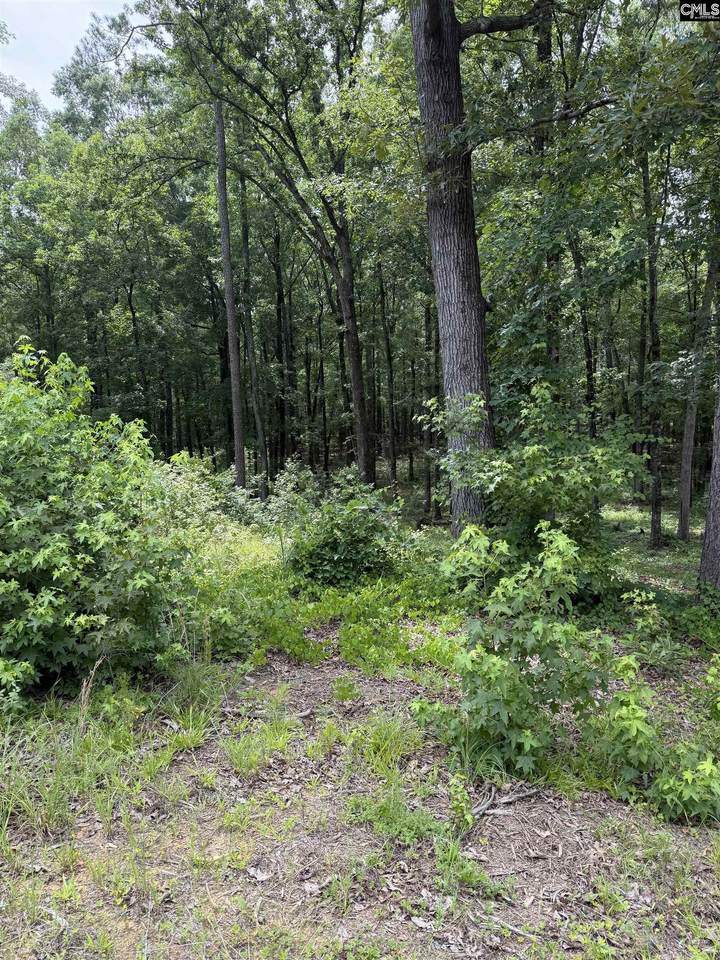 1405 Mullis Road - Photo 1