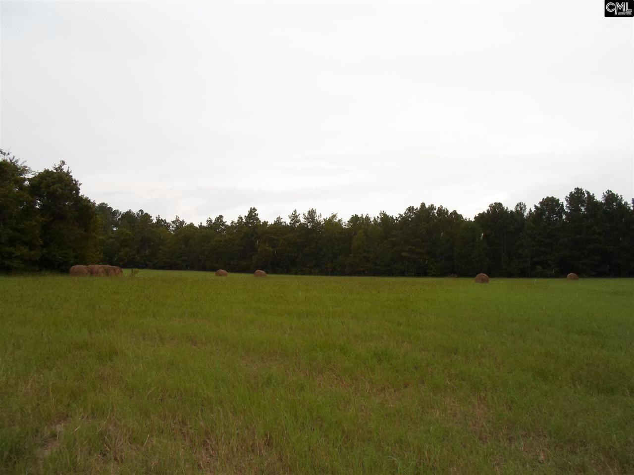 TBD2 Two Notch Road - Photo 1