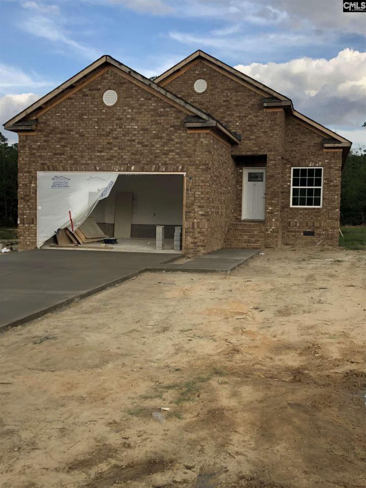 141 Sago Palm Drive - Photo 1