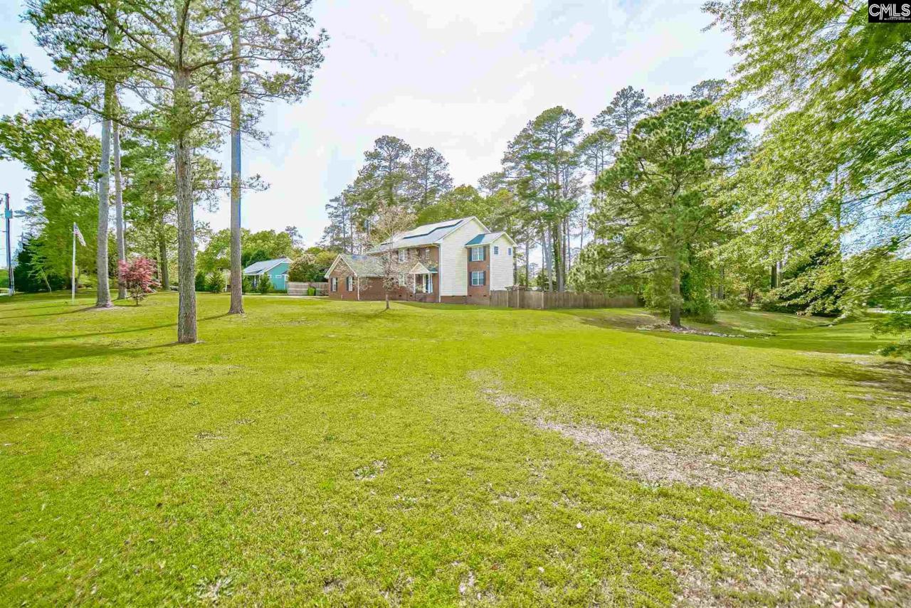 100 Caughman Park Drive - Photo 1