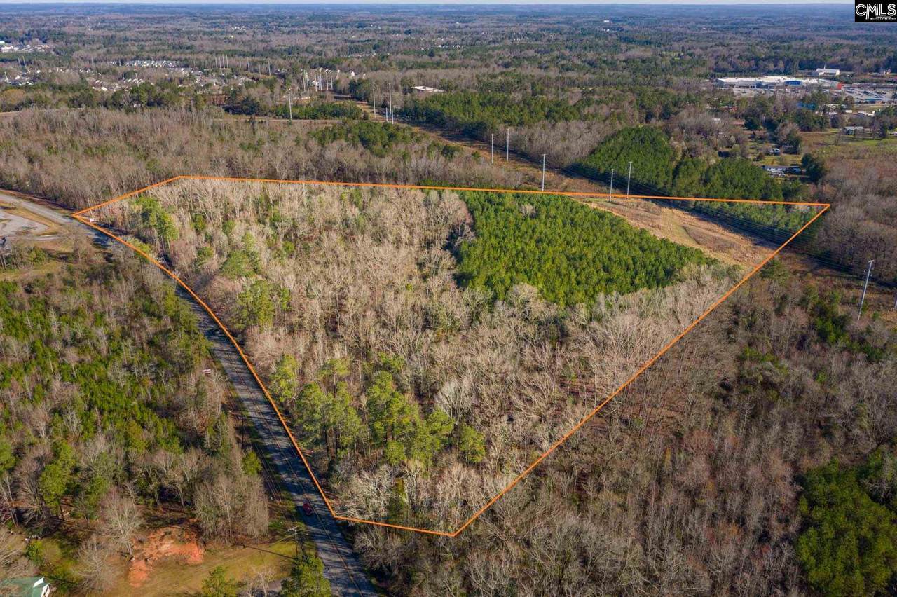 01 Dreher Shoals Road - Photo 1