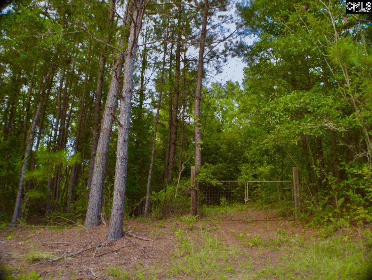 2661 Mccords Ferry Road - Photo 1