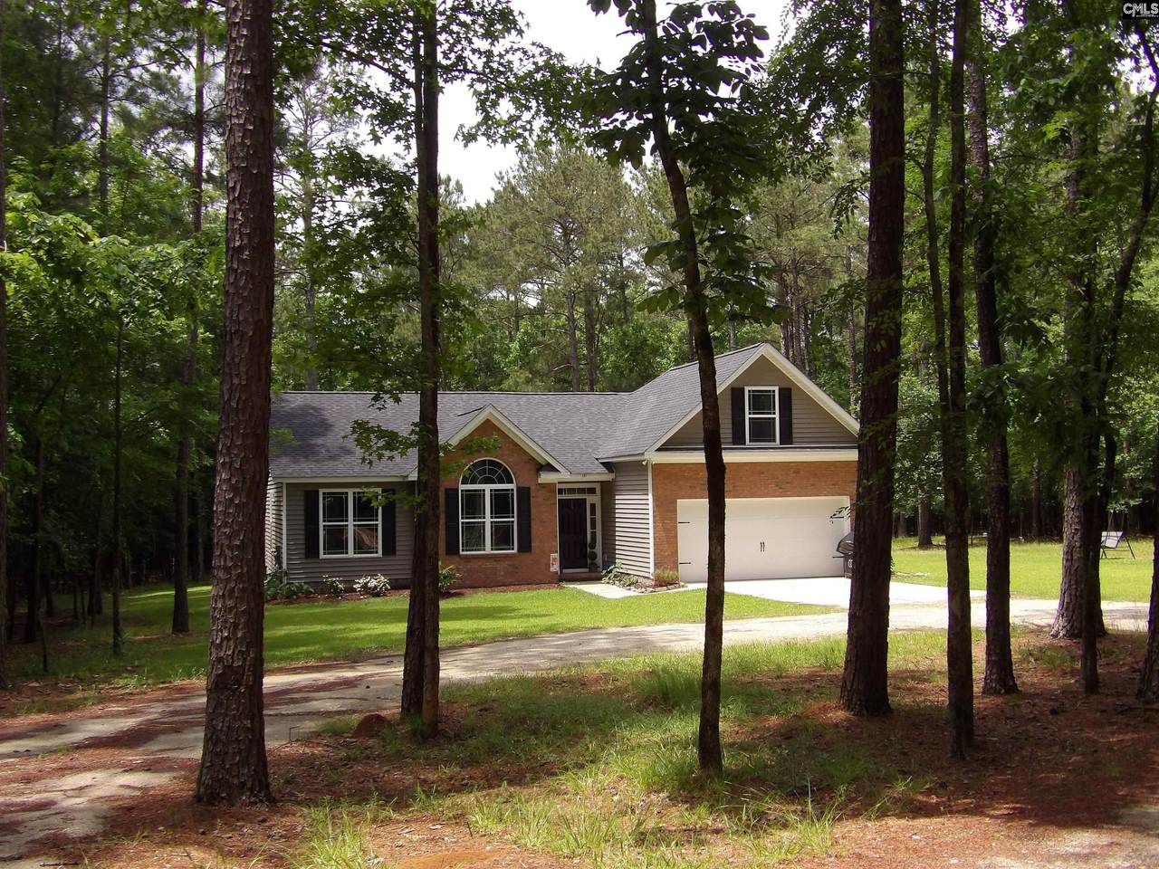 1047 Scooter Bridge Road - Photo 1