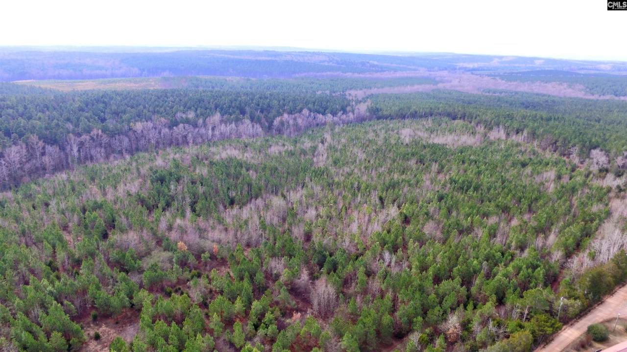 1163 Juneberry Rd - Photo 1