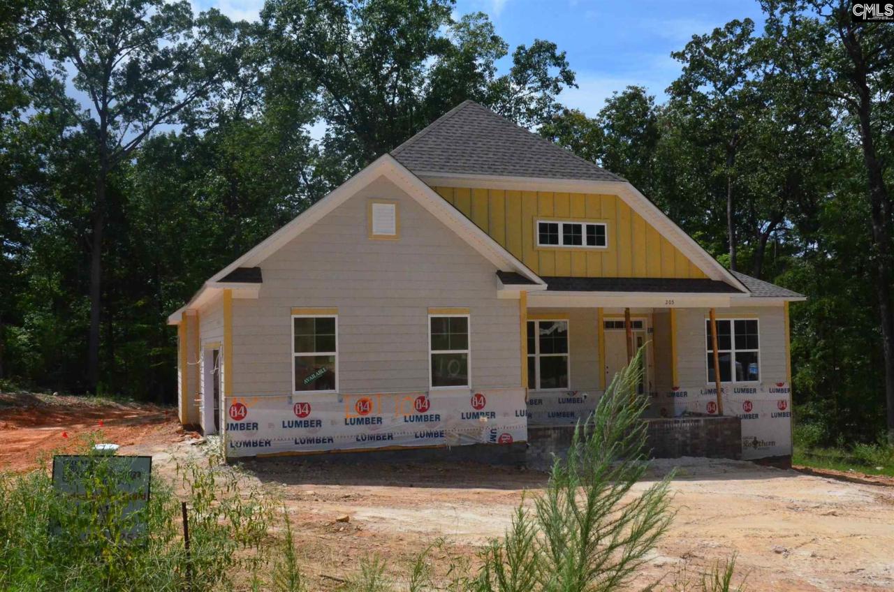 205 Limestone Road - Photo 1