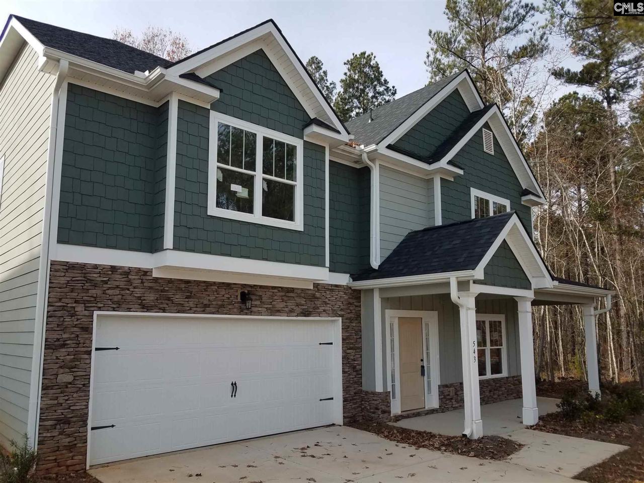 543 Treehouse Lane - Photo 1