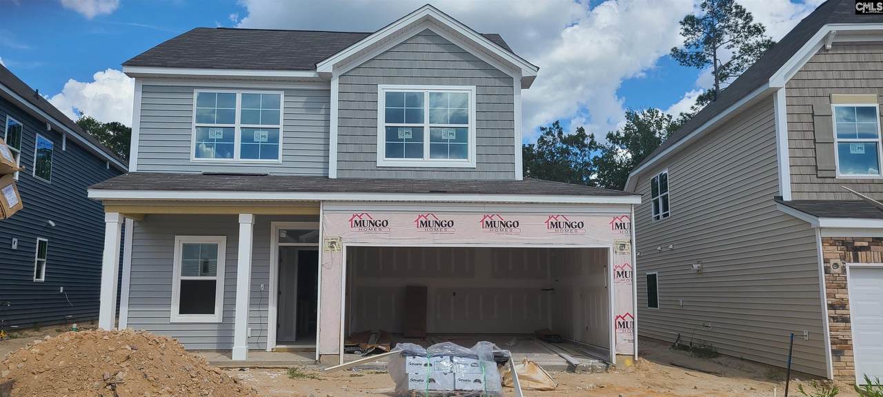 1107 Turtle Stone Road - Photo 1