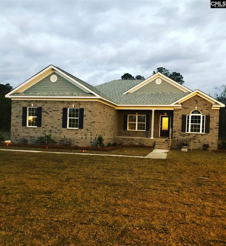 131 Sago Palm Drive - Photo 1