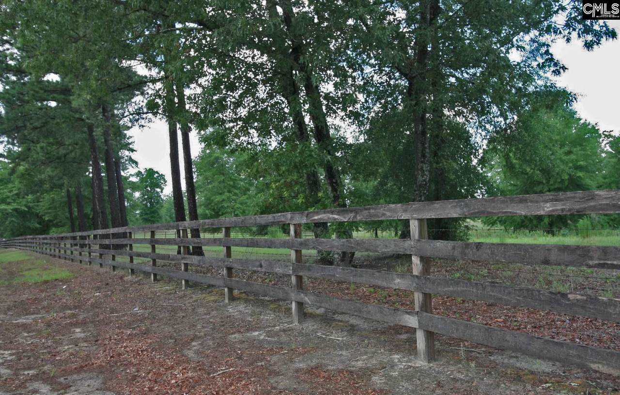 5519B Wagener Road - Photo 1