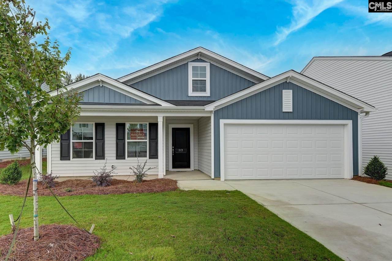 313 Ollivander Lane - Photo 1