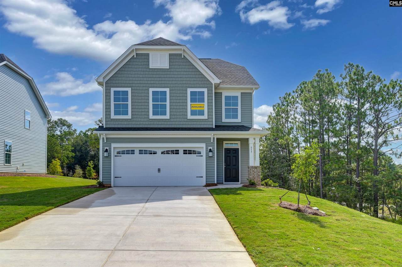 517 Frosty Lane - Photo 1