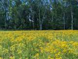 0 Minger Road - Photo 13