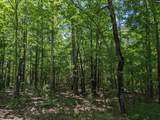 0 Minger Road - Photo 19