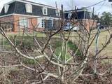 501 Western Drive - Photo 15