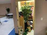 310 Palmetto Street - Photo 11