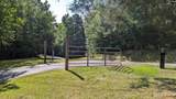 705 Deer Run Road - Photo 29