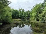 108 Pond Arch Road - Photo 48