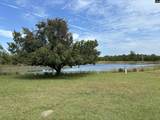 1308 Fire Tower Road - Photo 13