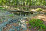 952 Black River Road - Photo 60
