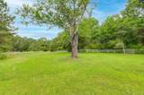 1091 Nick Watts Road - Photo 11