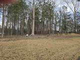 122 Timber Trail Lane - Photo 5