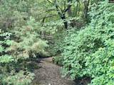 Ebb Mack Road - Photo 4