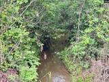 Ebb Mack Road - Photo 2