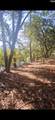 301 7th Avenue - Photo 11