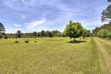 3941 Hillbilly Way - Photo 39