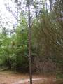 412 Sells Court - Photo 12