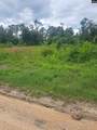 3941 Hillbilly Way Tract 2 - Photo 1