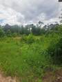 3941 Hillbilly Way Tract 2 - Photo 2