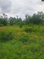 3941 Hillbilly Way Tract 2 - Photo 3
