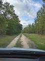 1629A Robinson Town Road - Photo 3