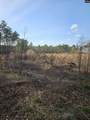 847 Gus Sturkie Road - Photo 13