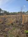847 Gus Sturkie Road - Photo 14