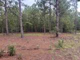 1100 Lassiter Jacobs Road - Photo 2