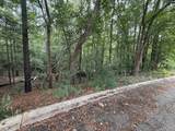 TBD Timberlane Drive - Photo 3