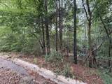 TBD Timberlane Drive - Photo 4
