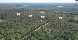 TBD Lot 1 Spring Creek Road - Photo 4