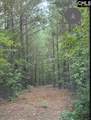 Lot L B Old Edgefield Road - Photo 5