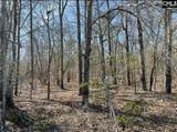 141 Hollow Creek Rd 27+/-Ac - Photo 5