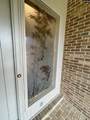 2119 Cherry Laurel Drive - Photo 52