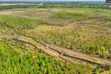 TBD Alligator Road - Photo 19